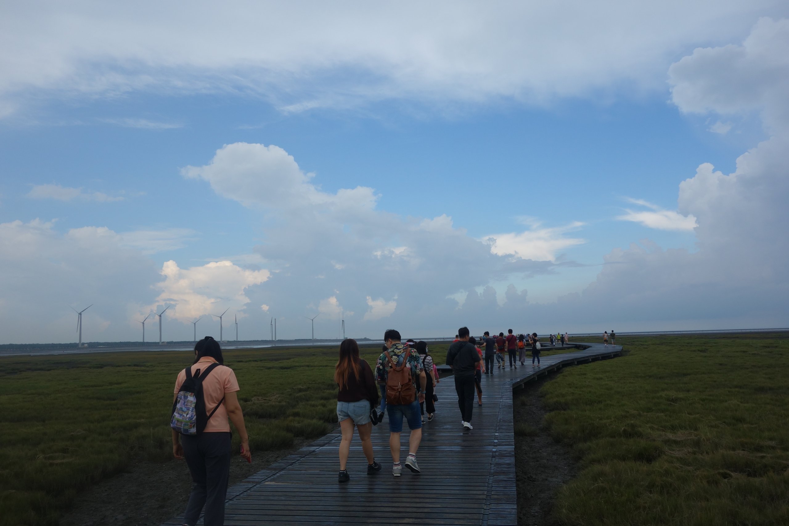 高美濕地木棧道