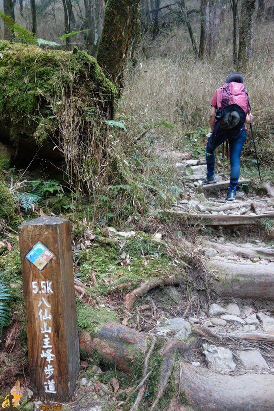 八仙山5.5K