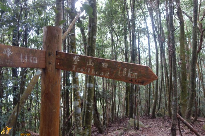 八仙山下山3