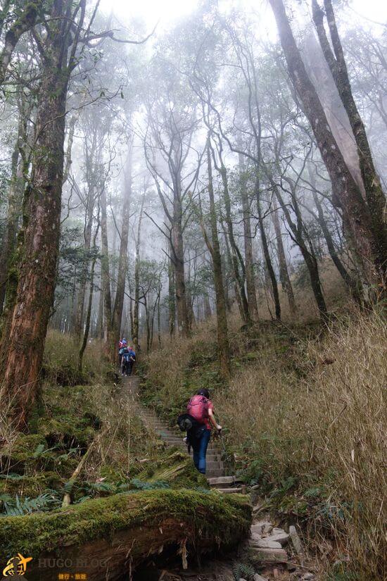 八仙山起霧