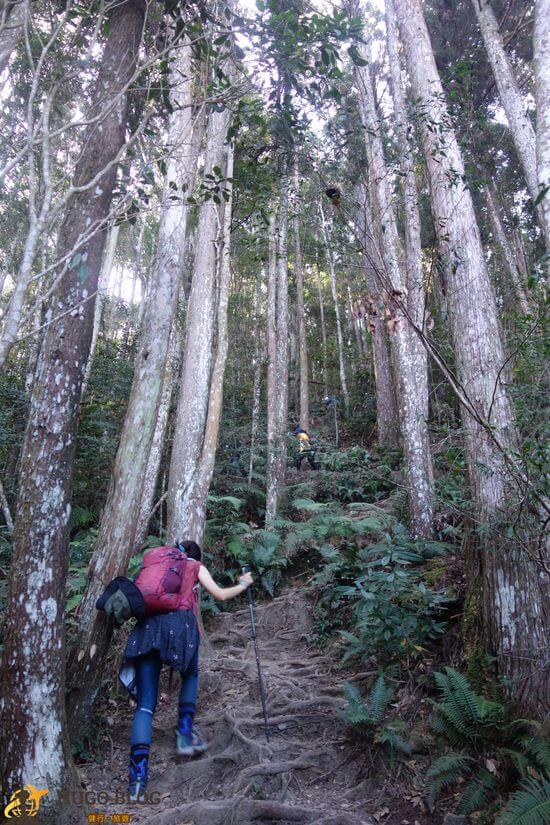 八仙山爬坡