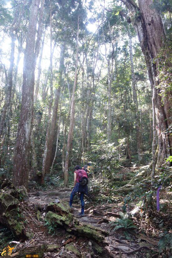 八仙山爬坡2