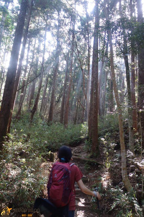 八仙山耶穌光