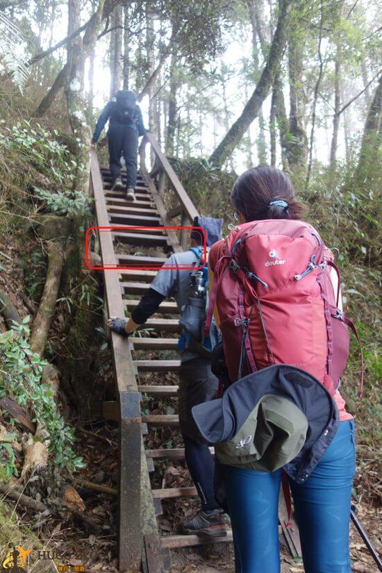 八仙山階梯6