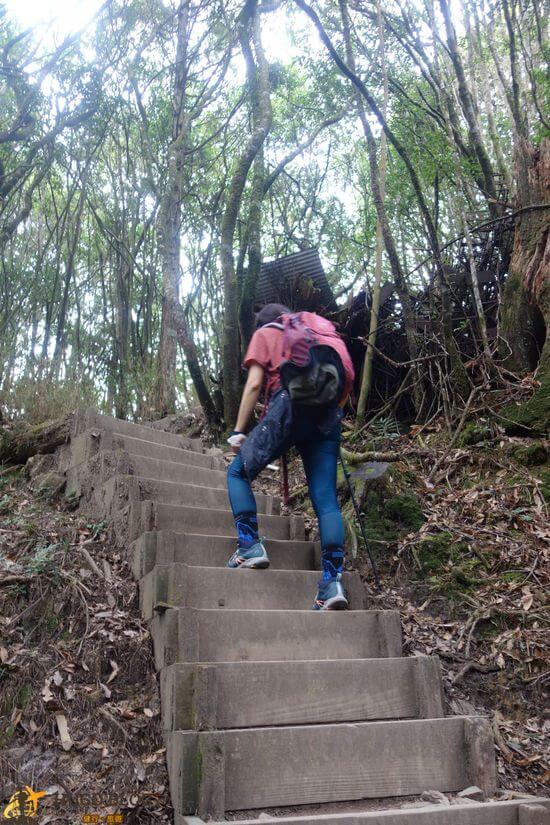 八仙山階梯8