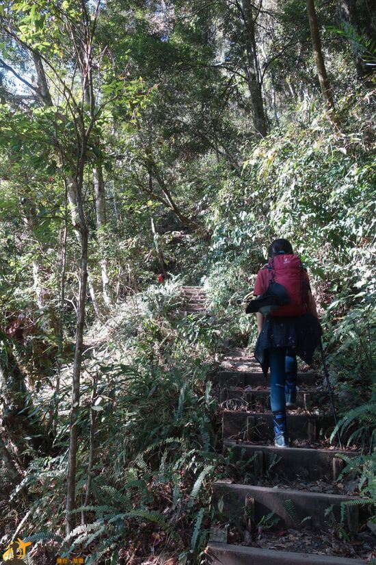 八仙山階梯