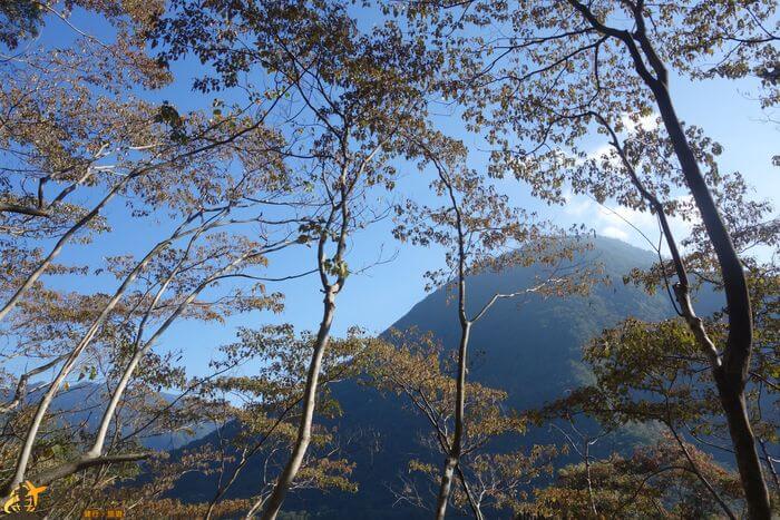 八仙山風景