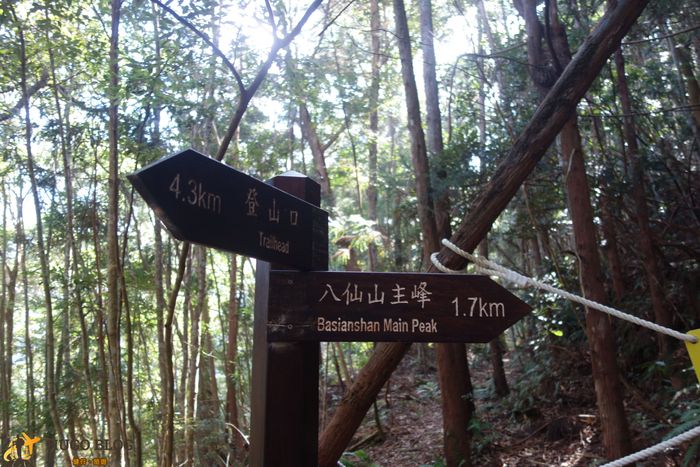 八仙山指標2