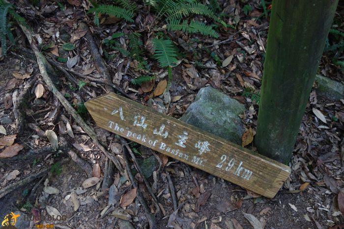 八仙山指標