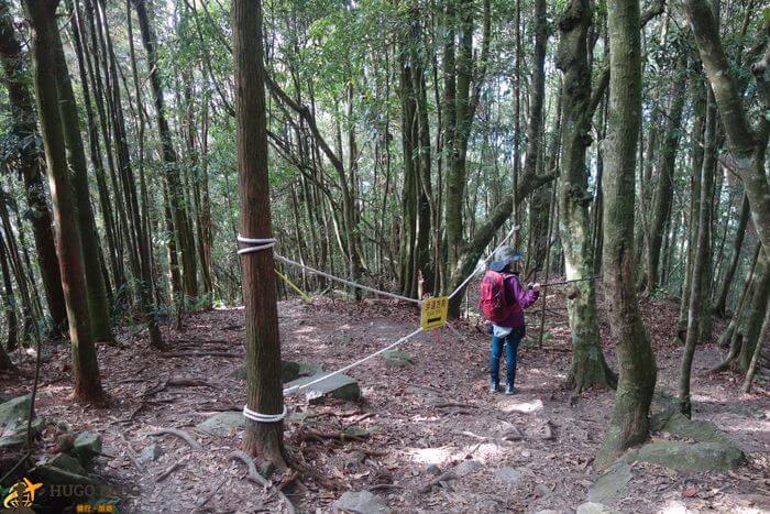 八仙山松鶴線