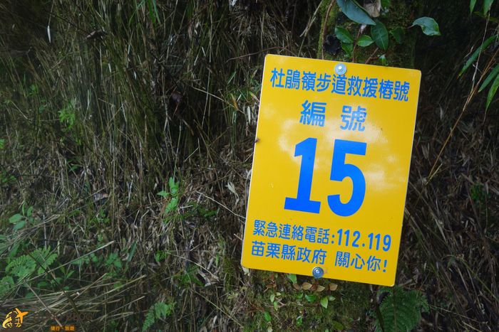 杜鵑嶺步道編號15