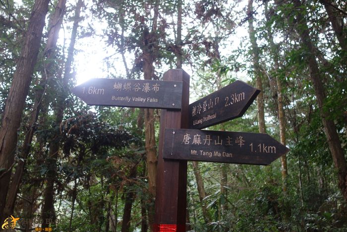 唐麻丹山地標