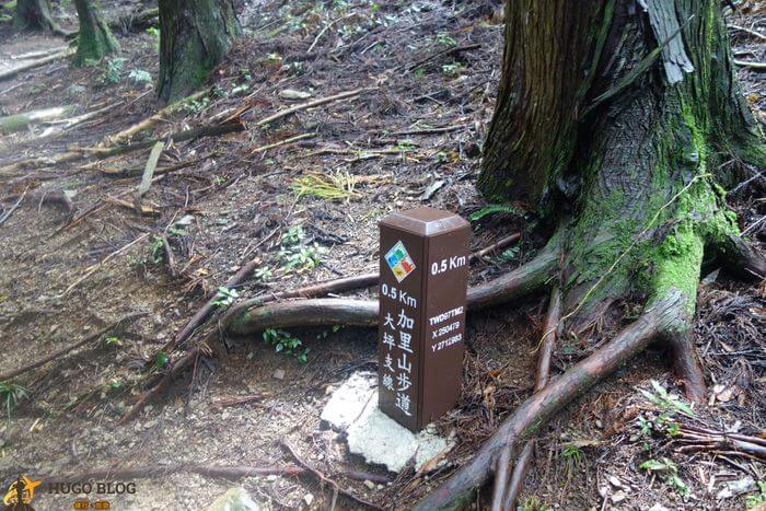 加里山0.5K