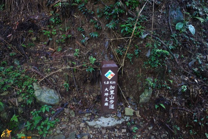 加里山1K