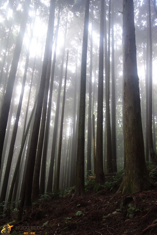 加里山下山5