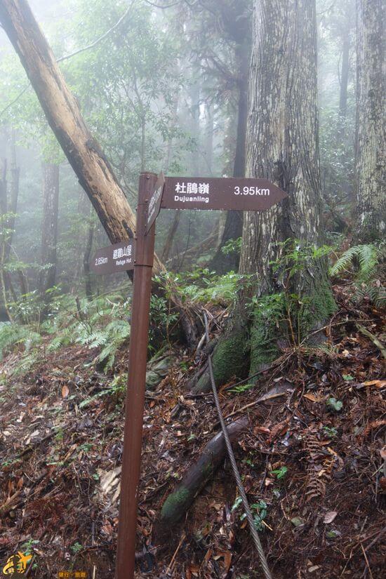 加里山指標2