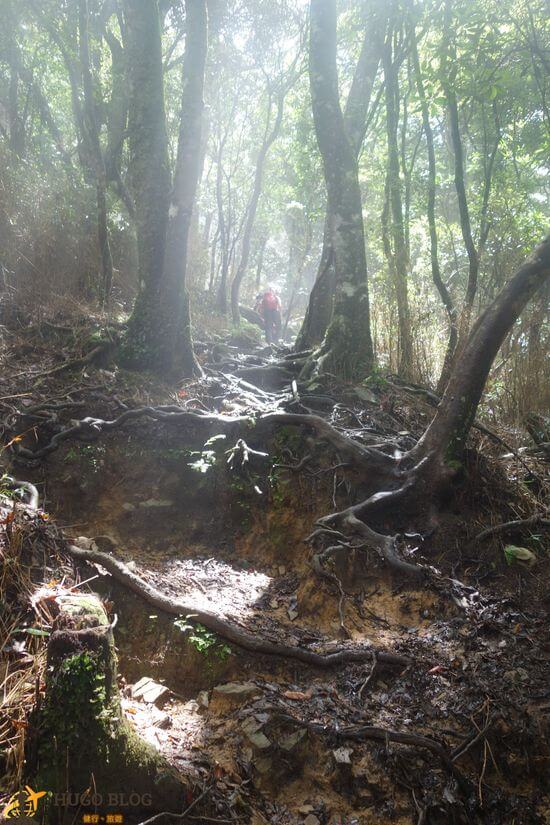加里山耶穌光3