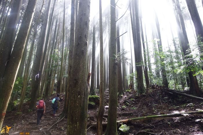 加里山耶穌光