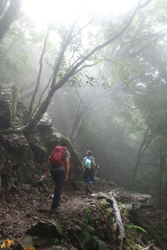 加里山石子路