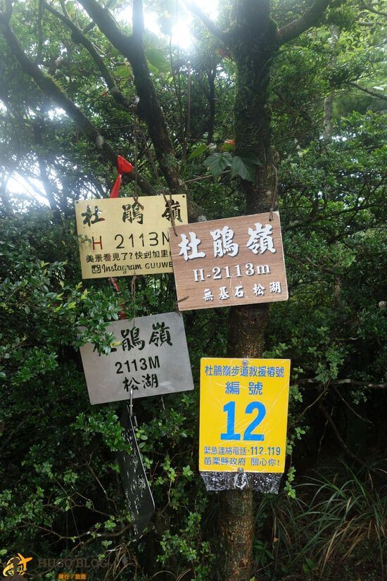 杜鵑嶺山頂