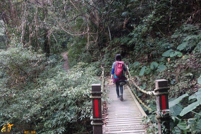 唐麻丹山木橋