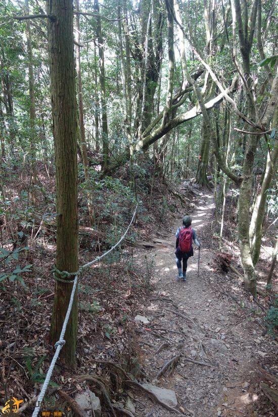 屋我尾山下坡