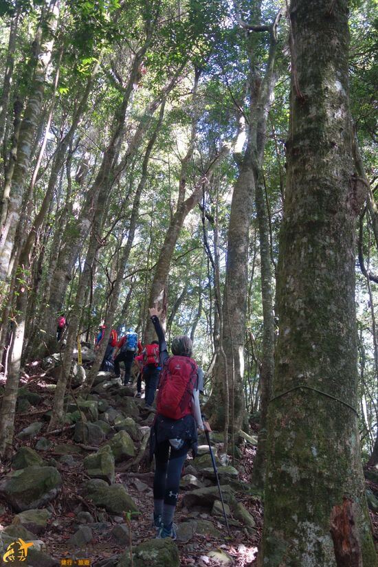 屋我尾山石子路