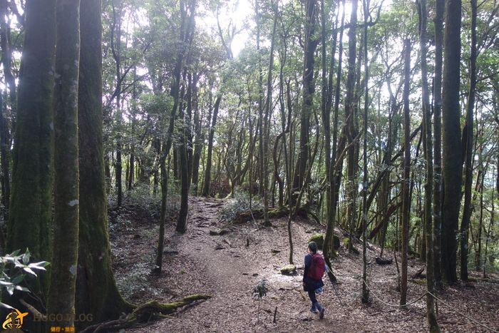 屋我尾山步道