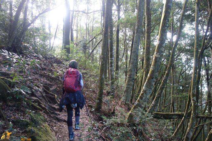 屋我尾山2