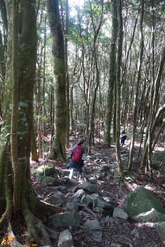 屋我尾山5