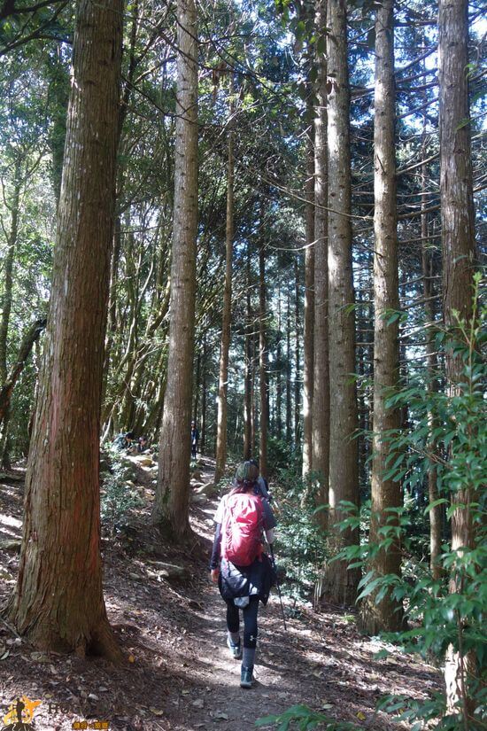 屋我尾山6