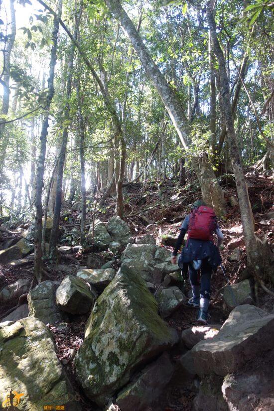 屋我尾山7