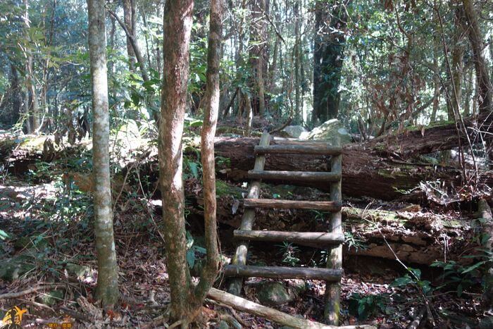 屋我尾山8