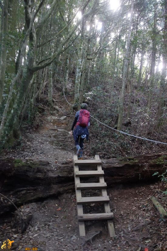 屋我尾山小梯子