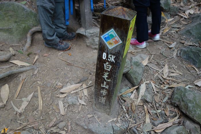 白毛山0.5K