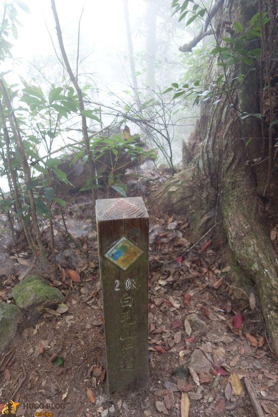 白毛山2K