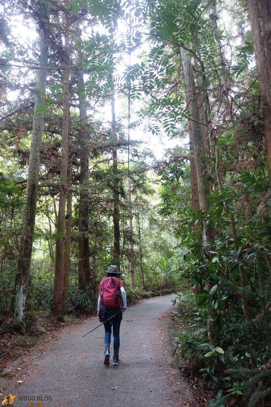 白毛山柏油路