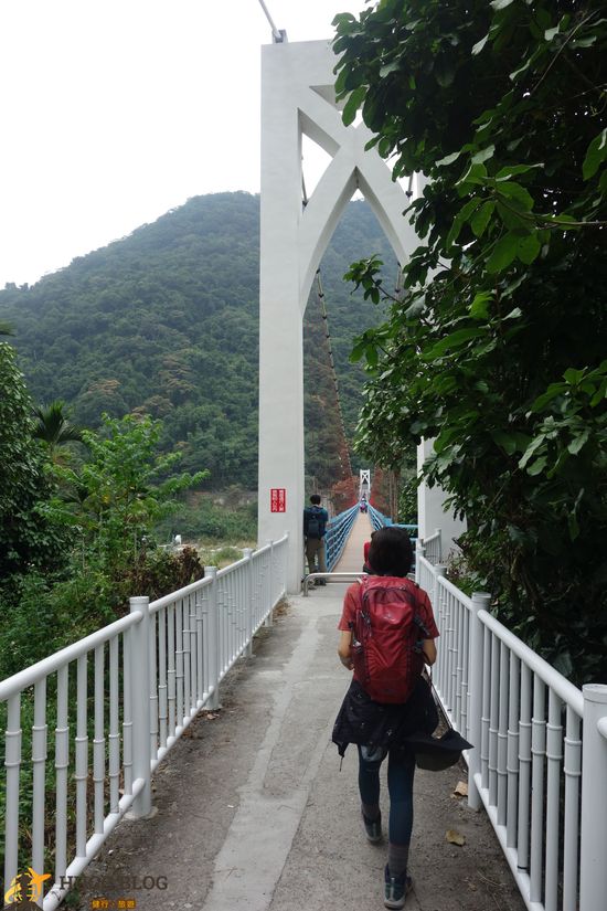 白毛山白鹿回程