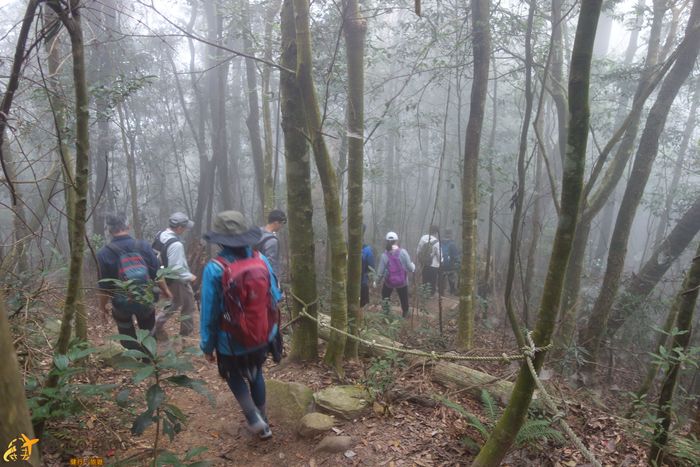 白毛山下山2