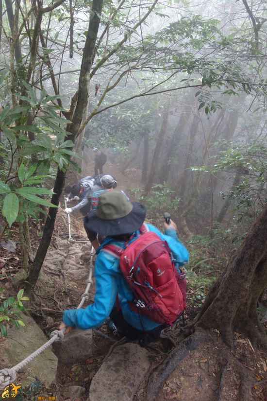 白毛山下山3