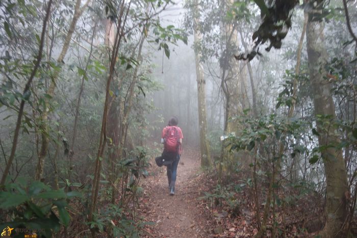 白毛山起霧