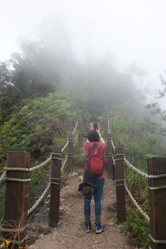 白毛山景觀