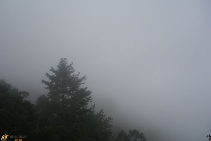 白毛山白牆