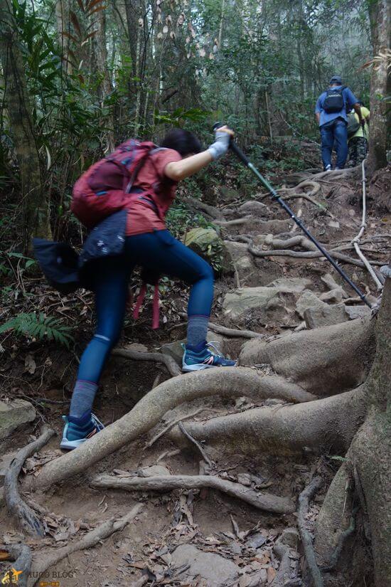 白毛山爬升