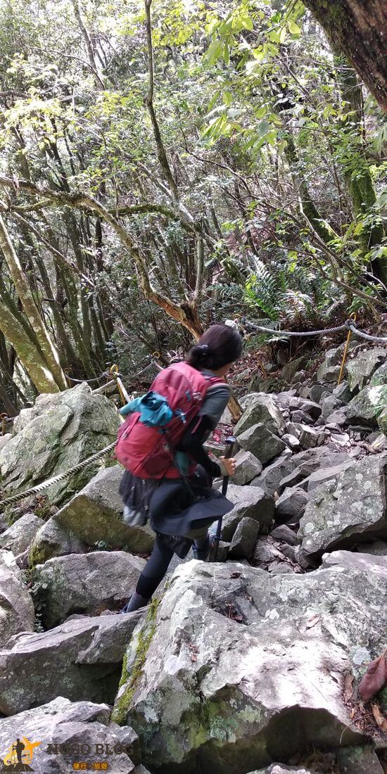波津加山下山3